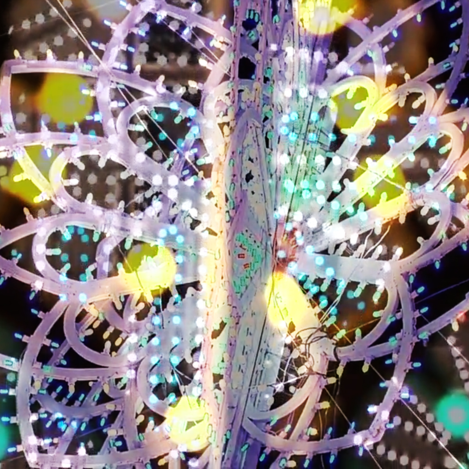 Le luminarie